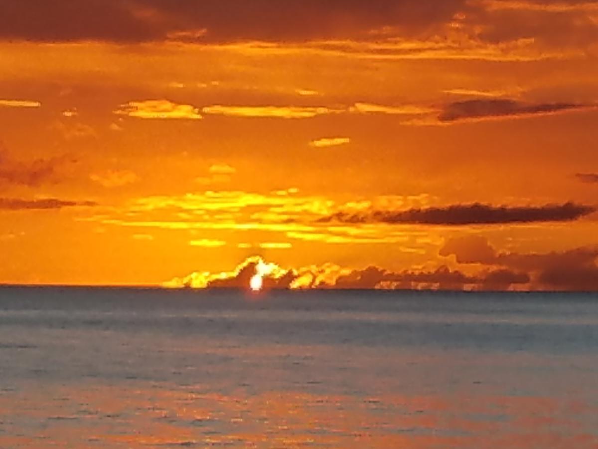 Coconut Palms Inn Rincon Luaran gambar